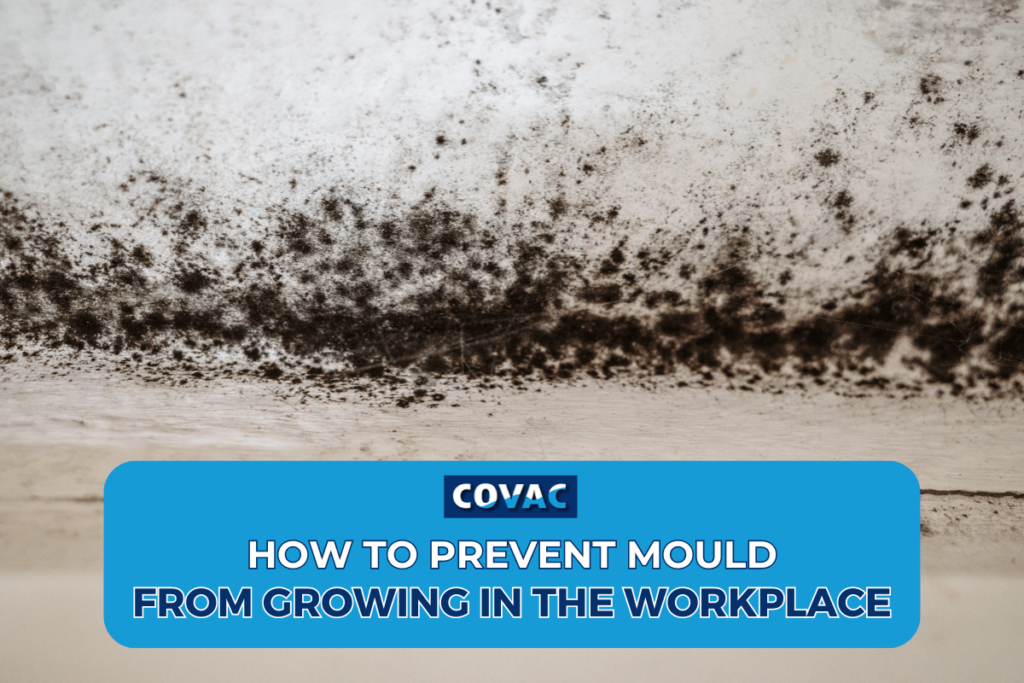 How to Prevent Mould From Growing in the Workplace